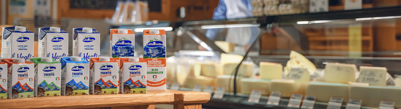 Latte Trento Scarl Consorzio Prod.latte Trento E Borgo foto 4