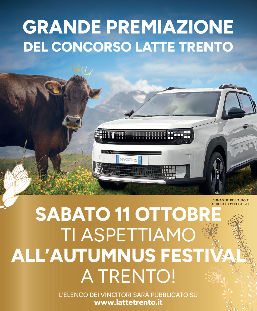 popup fine concorso